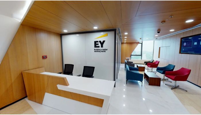 EY Internship Program 2024