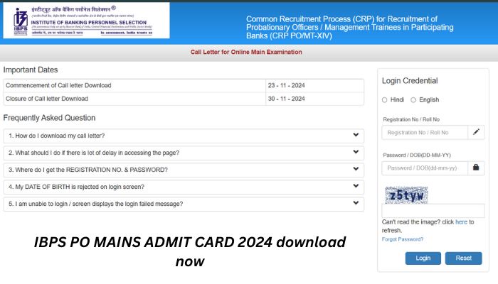 IBPS PO Mains Admit Card 2024 download now