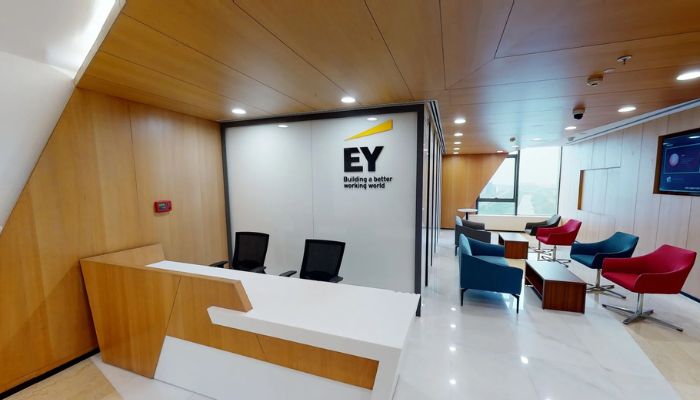 Program for EY Summer Internships